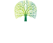 南宫NG28
